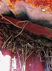 Williams House Paihia - external pumphouse decay