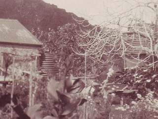 Williams House Paihia - a 1920s picture of the pumphouse showing the water tank on the roof