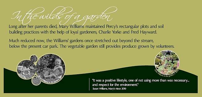 Williams House Paihia - wild garden interpretative sign